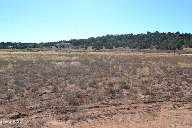 058N Bar Ditch Rd, Taylor, AZ 85939