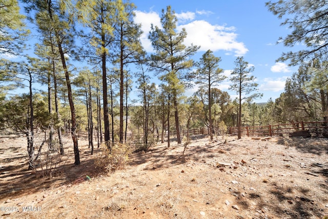 view of local wilderness