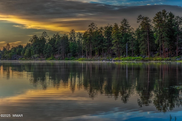 water view featuring a wooded view