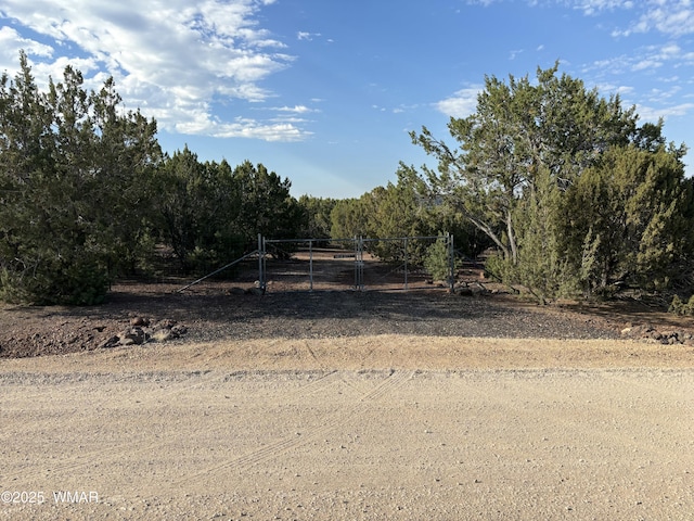 60 County Road 8140, Vernon, AZ 85940 - photo 2