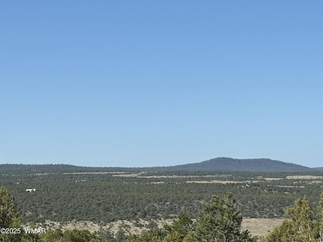 60 County Road 8140, Vernon, AZ 85940 - photo 18