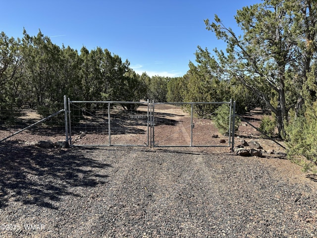 60 County Road 8140, Vernon, AZ 85940 - photo 4