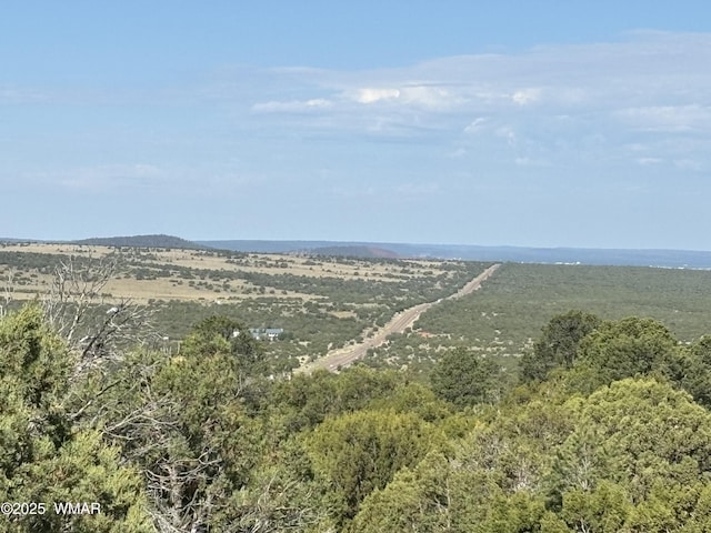 60 County Road 8140, Vernon, AZ 85940 - photo 17