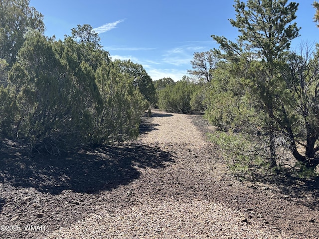 60 County Road 8140, Vernon, AZ 85940 - photo 7