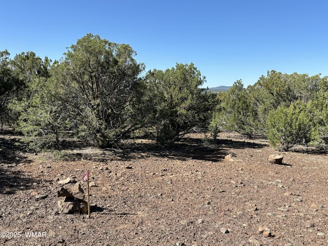 60 County Road 8140, Vernon, AZ 85940 - photo 14
