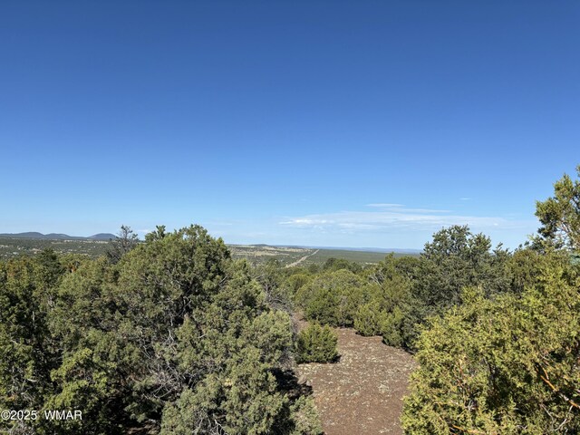 60 County Road 8140, Vernon, AZ 85940 - photo 23