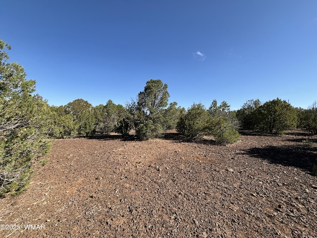 60 County Road 8140, Vernon, AZ 85940 - photo 30