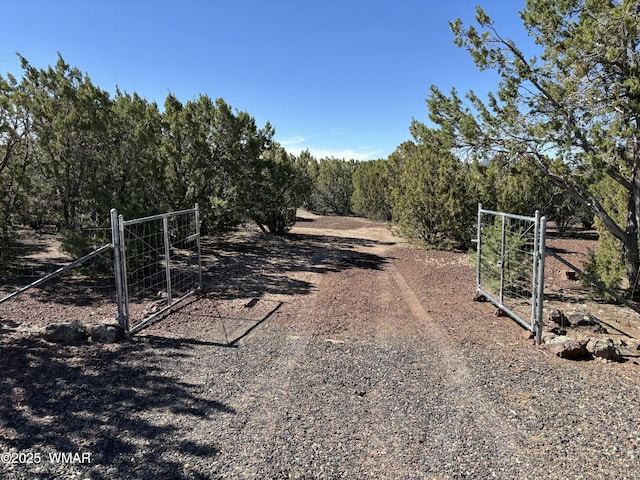 60 County Road 8140, Vernon, AZ 85940 - photo 6