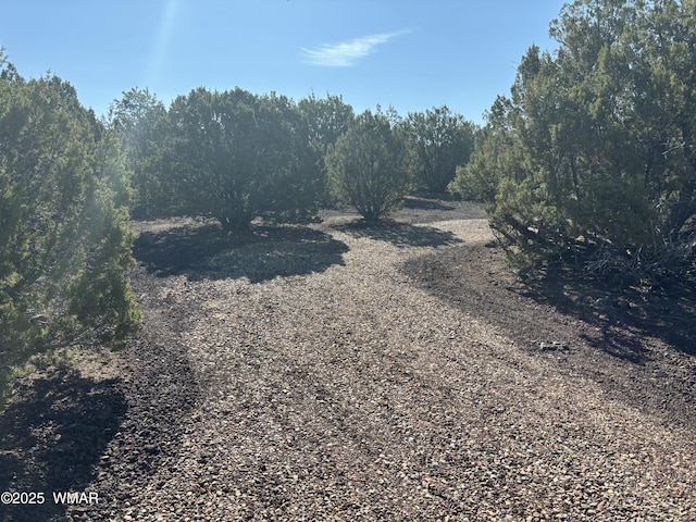 60 County Road 8140, Vernon, AZ 85940 - photo 8