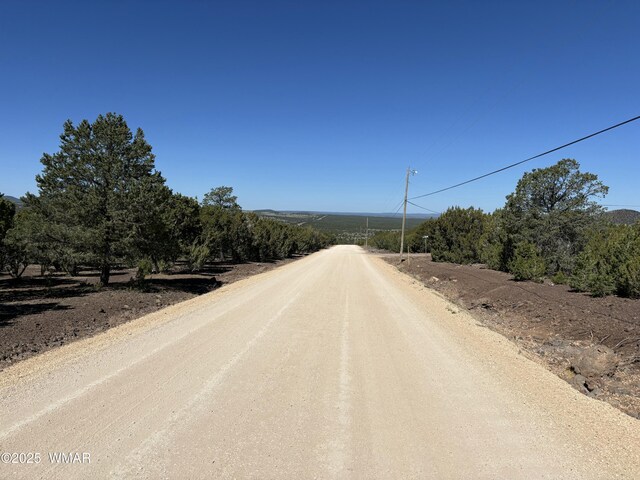 60 County Road 8140, Vernon, AZ 85940 - photo 10