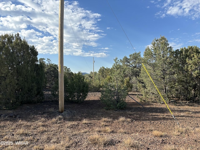 60 County Road 8140, Vernon, AZ 85940 - photo 24