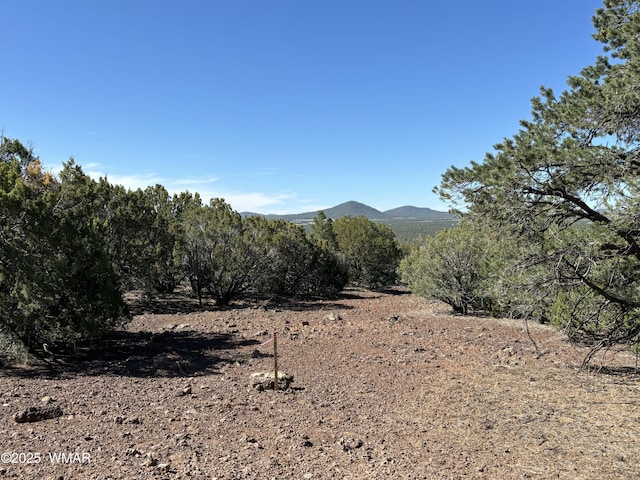 60 County Road 8140, Vernon, AZ 85940 - photo 13