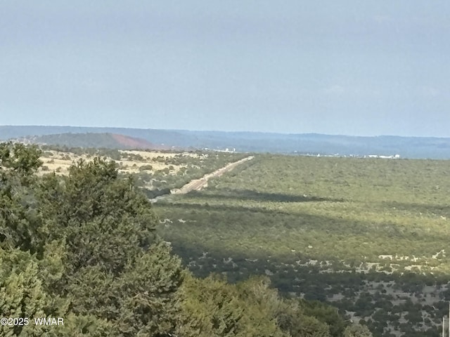 60 County Road 8140, Vernon, AZ 85940 - photo 22