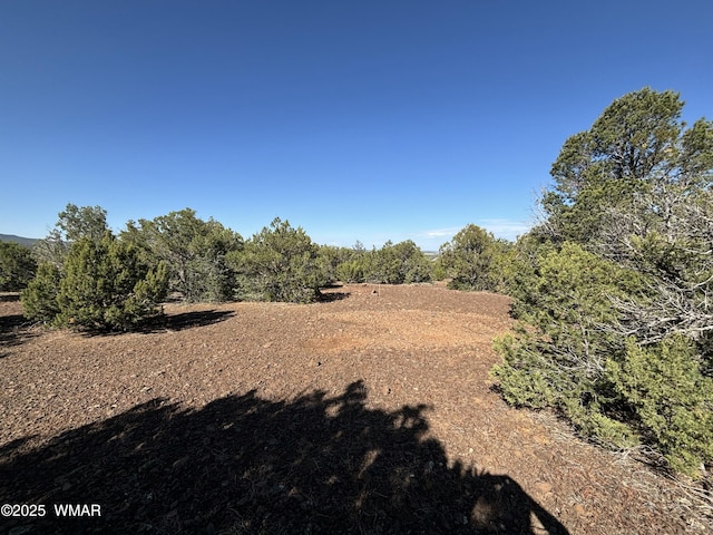 60 County Road 8140, Vernon, AZ 85940 - photo 29