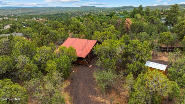 6245 Old Oak Trl, Show Low, AZ 85901 - photo 12