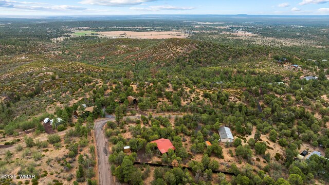 6245 Old Oak Trl, Show Low, AZ 85901 - photo 34