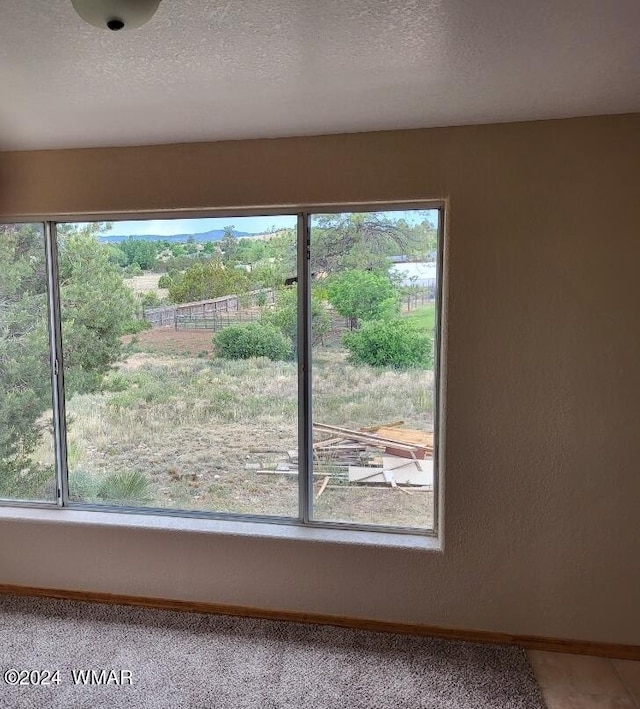 interior details featuring baseboards and a textured ceiling