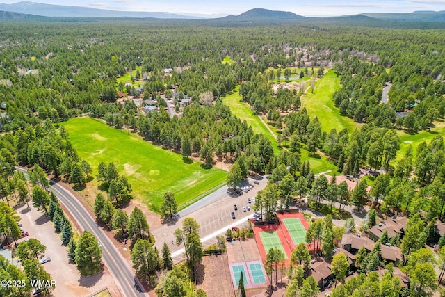 birds eye view of property with a mountain view and a view of trees