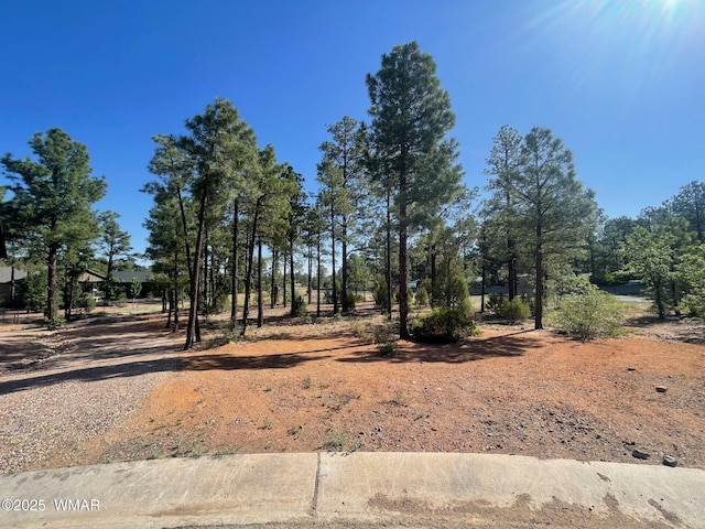 101 W Pine Haven Cir, Show Low, AZ 85901