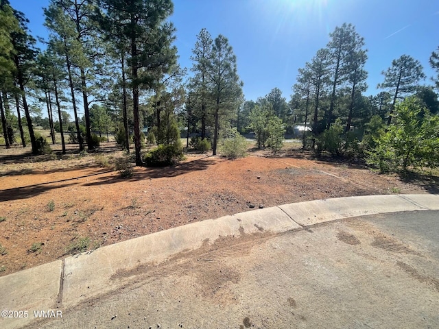 101 W Pine Haven Cir, Show Low, AZ 85901