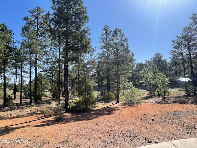 101 W Pine Haven Cir, Show Low, AZ 85901