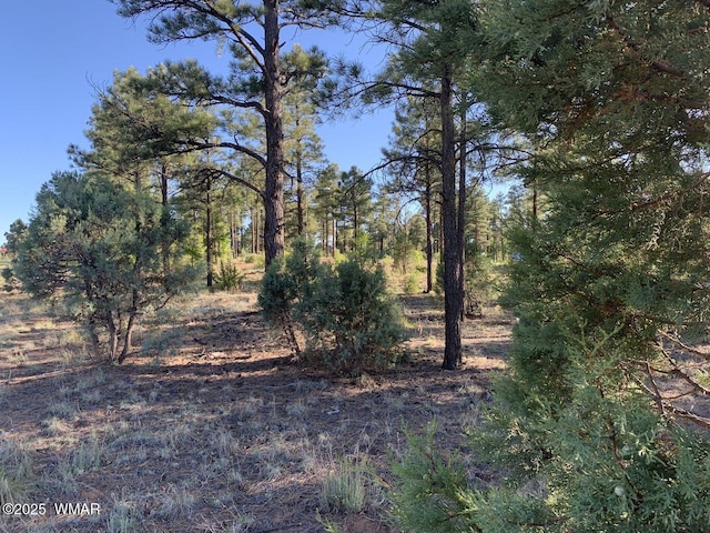 101 W Pine Haven Cir, Show Low, AZ 85901