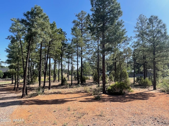 101 W Pine Haven Cir, Show Low, AZ 85901