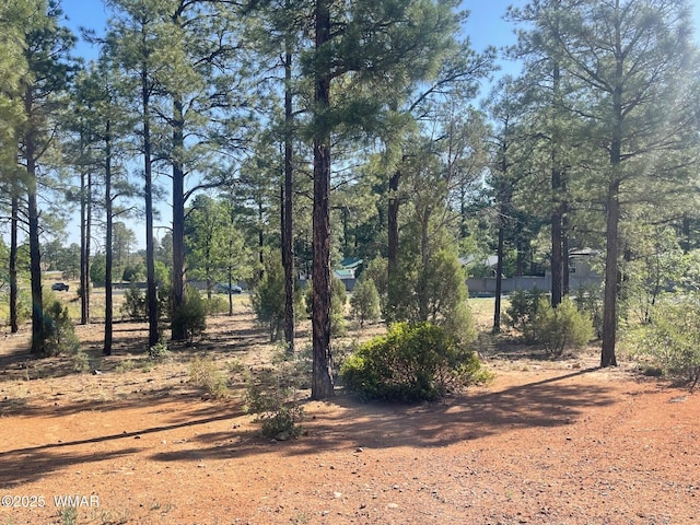 101 W Pine Haven Cir, Show Low, AZ 85901