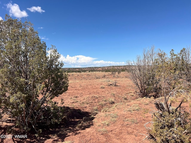 000 Paso Dr, Snowflake, AZ 85937 - photo 6