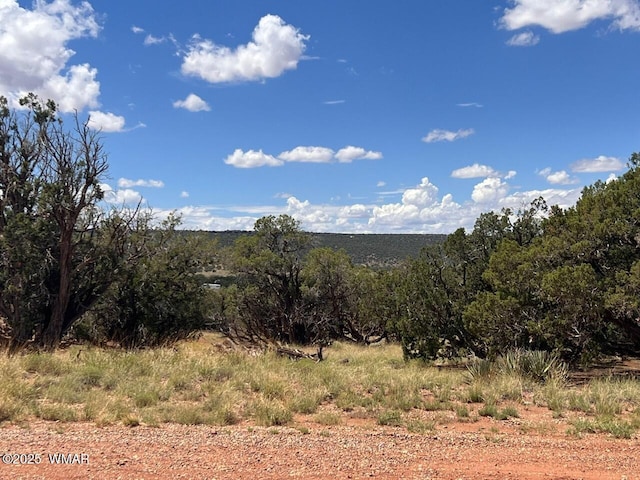 4289 Colt Rd, Snowflake, AZ 85937 - photo 6