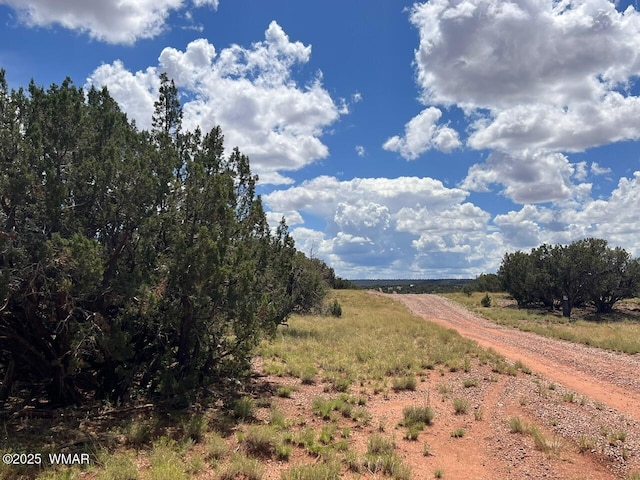 4289 Colt Rd, Snowflake, AZ 85937 - photo 2
