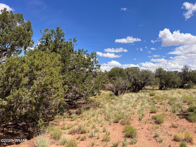 4289 Colt Rd, Snowflake, AZ 85937 - photo 4