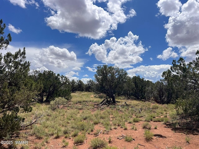 4289 Colt Rd, Snowflake, AZ 85937 - photo 5