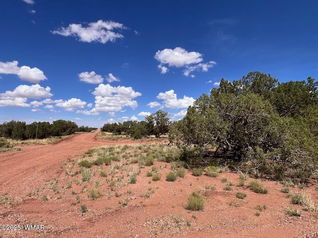 4289 Colt Rd, Snowflake, AZ 85937 - photo 3