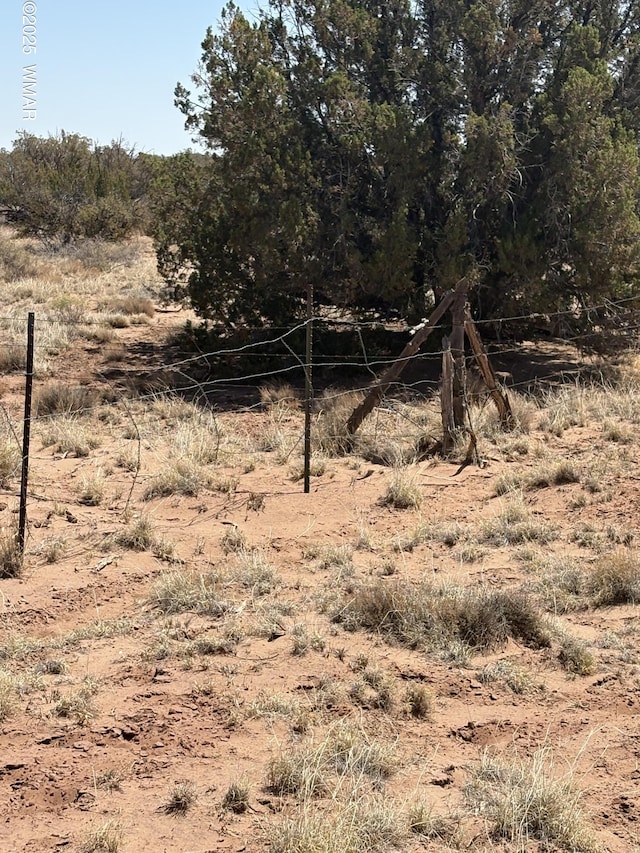 8580 Lawson Ln, Snowflake, AZ 85937 - photo 3