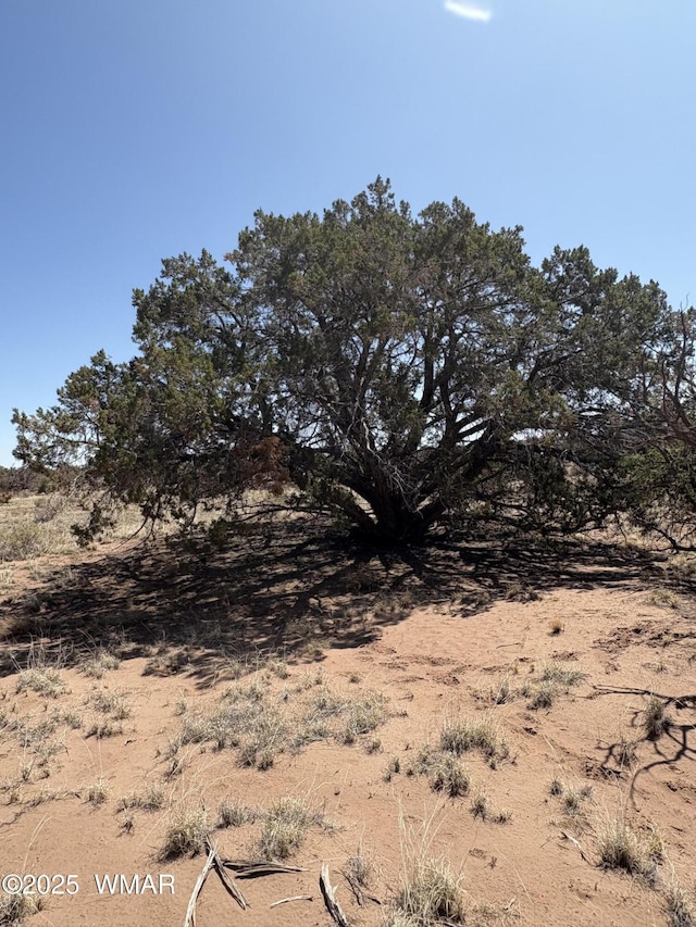 8580 Lawson Ln, Snowflake, AZ 85937 - photo 2