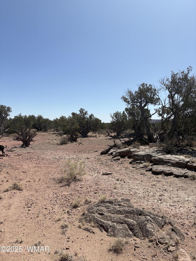 8580 Lawson Ln, Snowflake, AZ 85937 - photo 8