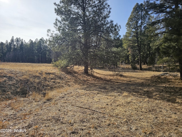 528 Summit Dr, Show Low AZ, 85901 land for sale