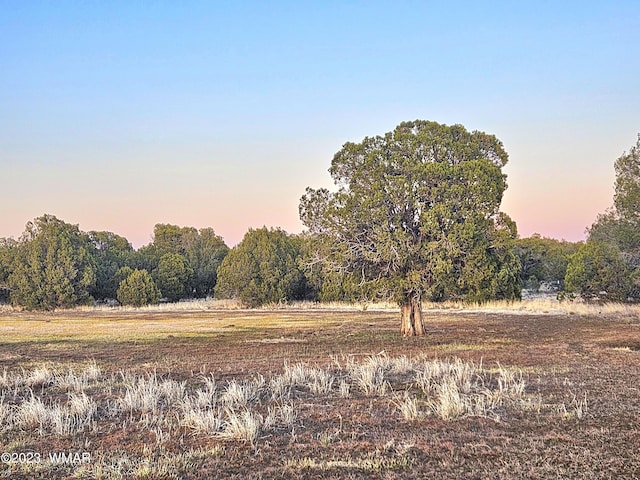 1606 Echo Ct, Show Low, AZ 85901