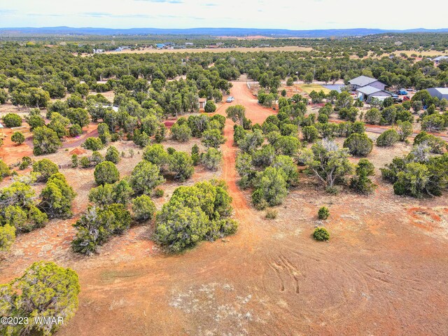 1606 Echo Ct, Show Low, AZ 85901