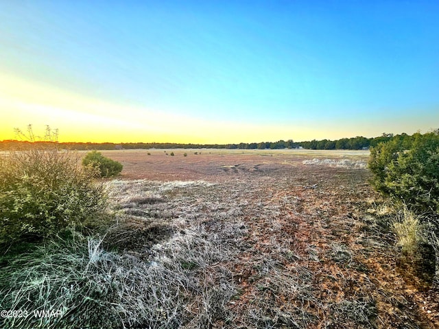 1606 Echo Ct, Show Low, AZ 85901