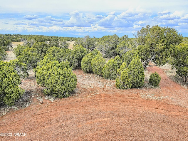 1606 Echo Ct, Show Low, AZ 85901