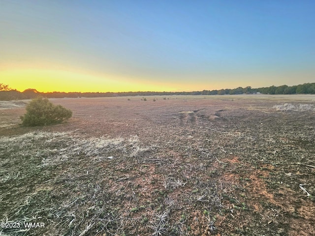 1606 Echo Ct, Show Low, AZ 85901