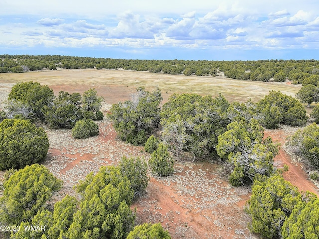 1606 Echo Ct, Show Low, AZ 85901