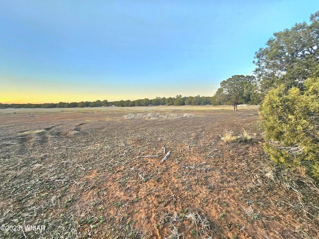 1606 Echo Ct, Show Low, AZ 85901