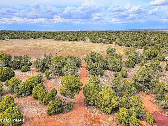 1606 Echo Ct, Show Low, AZ 85901