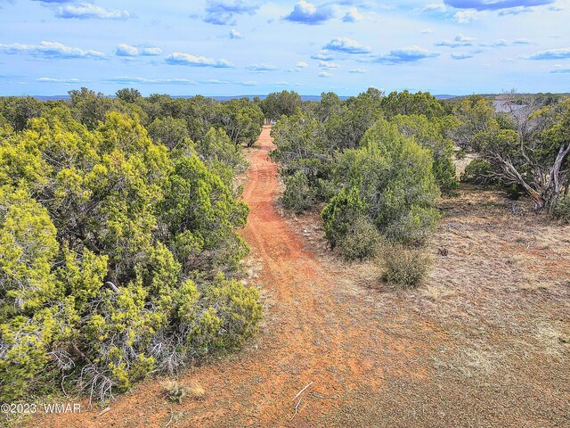 1606 Echo Ct, Show Low, AZ 85901