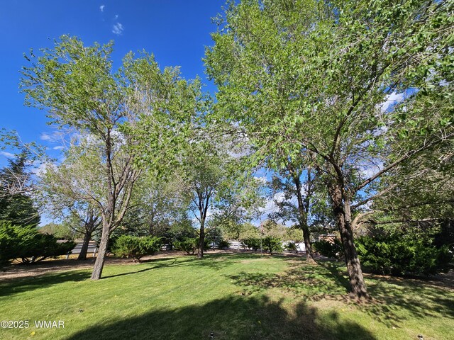 6757 Cheney Ranch Loop, Show Low, AZ 85901 - photo 61