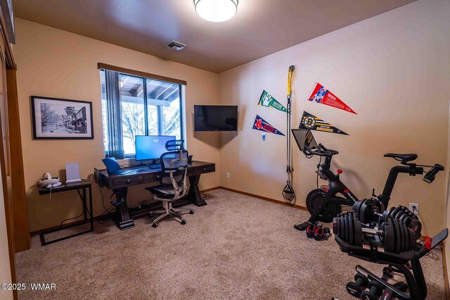 6757 Cheney Ranch Loop, Show Low, AZ 85901 - home office featuring carpet and baseboards