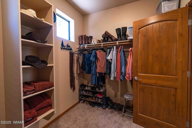 6757 Cheney Ranch Loop, Show Low, AZ 85901 - walk in closet featuring carpet floors